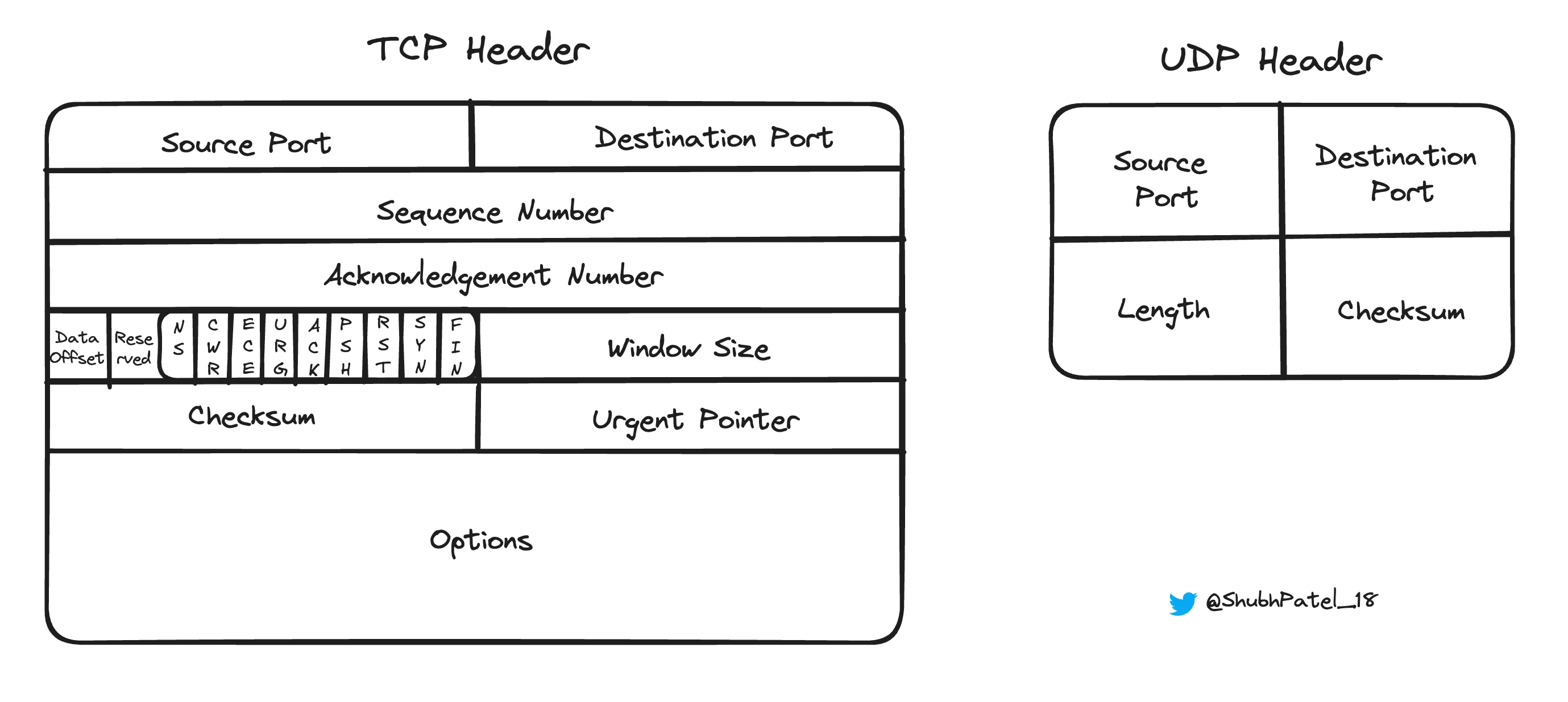 TCP &amp; UDP Header